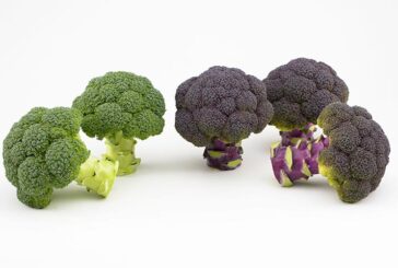 Sakata presenta Purple Magic, el primer brócoli morado