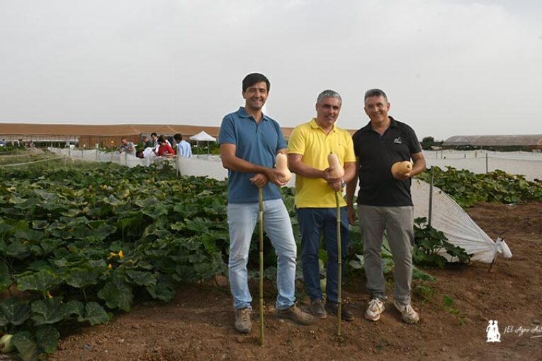 Sakata sube la calabaza a la Primera División de los hortícolas