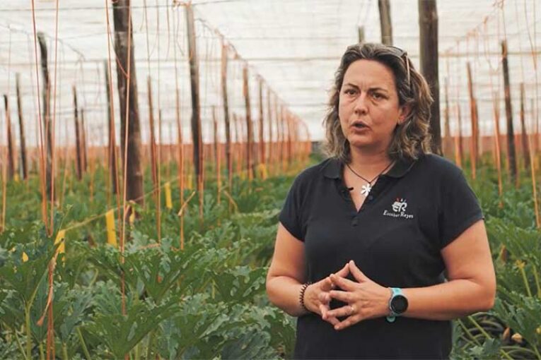 Humus líquido y microbiológicos para abonar menos