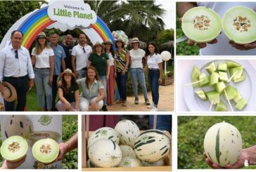 Fitó crea la marca Little Planet que inaugura con un nuevo melón de carne verde