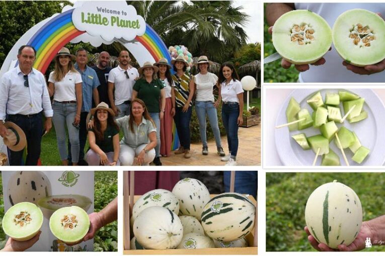 Fitó crea la marca Little Planet que inaugura con un nuevo melón de carne verde