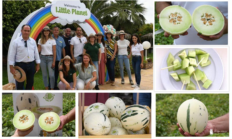 Fitó crea la marca Little Planet que inaugura con un nuevo melón de carne verde
