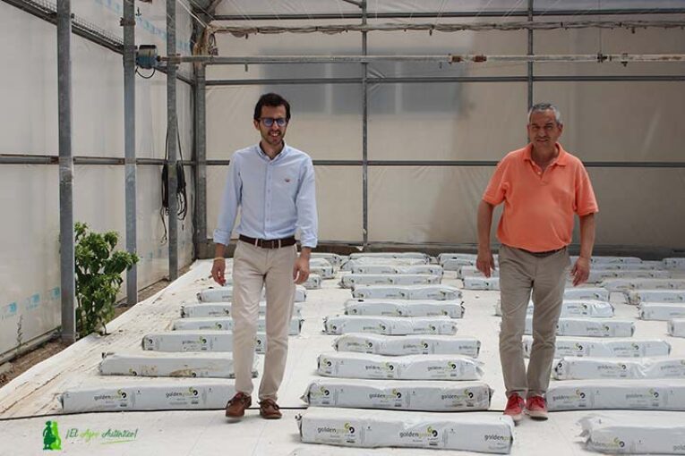 Campomar contará con un invernadero multitúnel el próximo curso