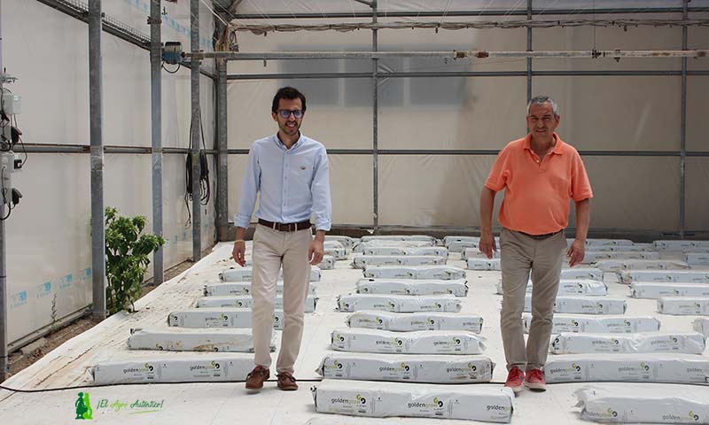 José Miguel Ruiz y José María Molina en un invernadero de EFA Campomar / agroautentico.com