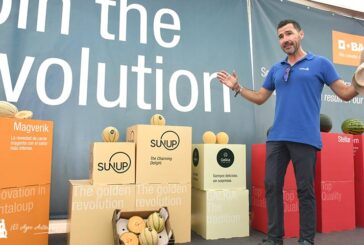 Nunhems crea con empresas de Murcia y Almería el proyecto SunUp en cantaloup