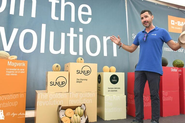 Nunhems crea con empresas de Murcia y Almería el proyecto SunUp en cantaloup