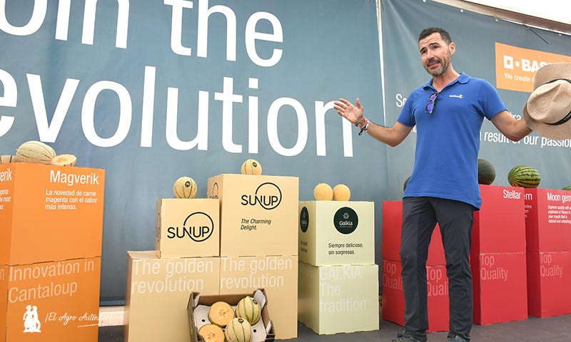 Nunhems crea con empresas de Murcia y Almería el proyecto SunUp en cantaloup
