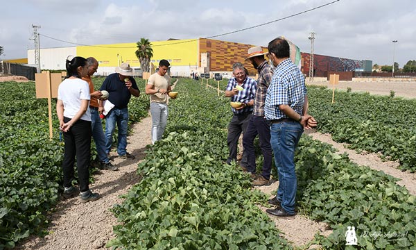 Agricultores de Murcia en las jornadas de campo de Bayer / agroautentico.com