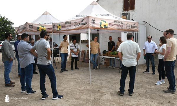 Agrícola Famosa en las jornadas de melón de Seminis en Murcia / agroautentico.com