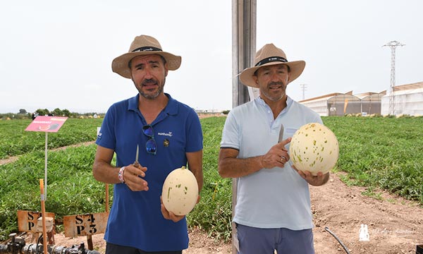 Enrique Ballester y Antonio Izquierdo con dos frutos de melón tipo Dino. / agroautentico.com