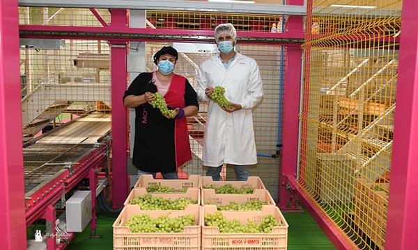 Isabel y Francisco Villa, en otro de los centros de manipulado de uva / agroautentico.com