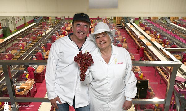 Antonio Domene y Fina Mena en uno de los centros de Moyca Grapes / agroautentico.com