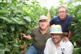 Pimientos de primavera y verano con Lupión y Rodríguez