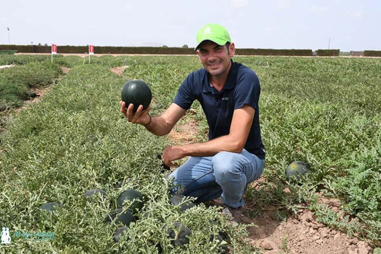 Rijk Zwaan hace con Corellana la sandía más pequeña