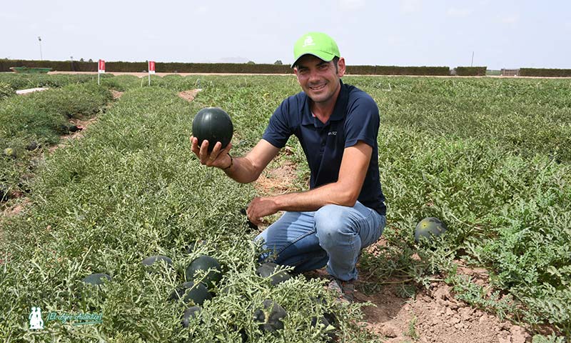Juan Hernández, coordinador de cultivos del CED con Corellana. / agroautentico.com