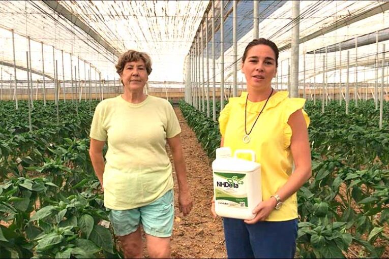 Cómo combatir la ola de calor y el estrés hídrico con la tecnología de Ecoculture