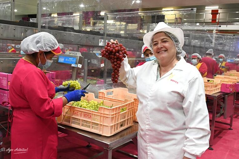 Murcia presume de uva con empresas como Moyca Grapes