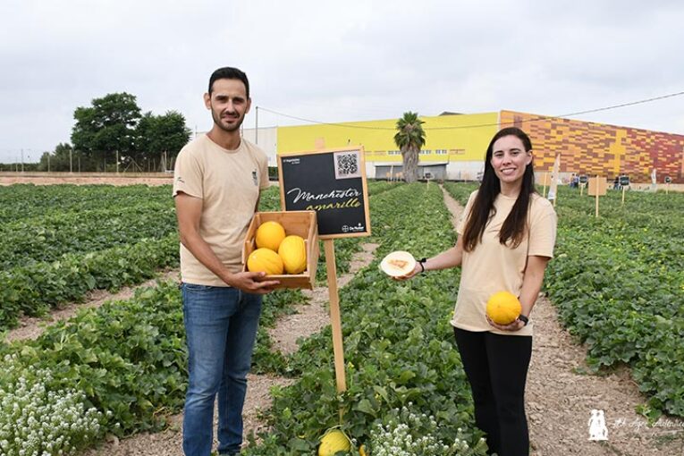 Seminis da la vuelta al amarillo con Chester, Rochester y ahora Manchester