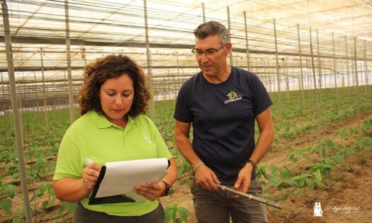 Almudena Martín, técnica agrícola de edaLIFE, con Juan 'Checas', agricultor de El Ejido / agroautentico.com