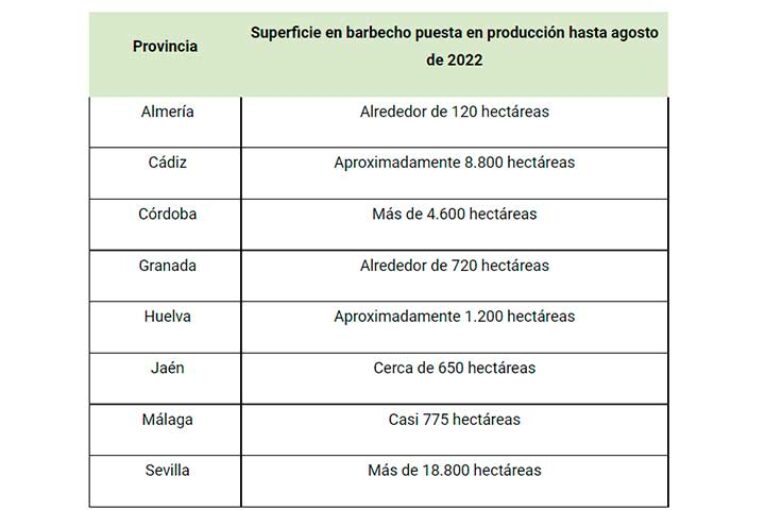 Andalucía pone en producción 35.700 hectáreas de tierras en barbecho