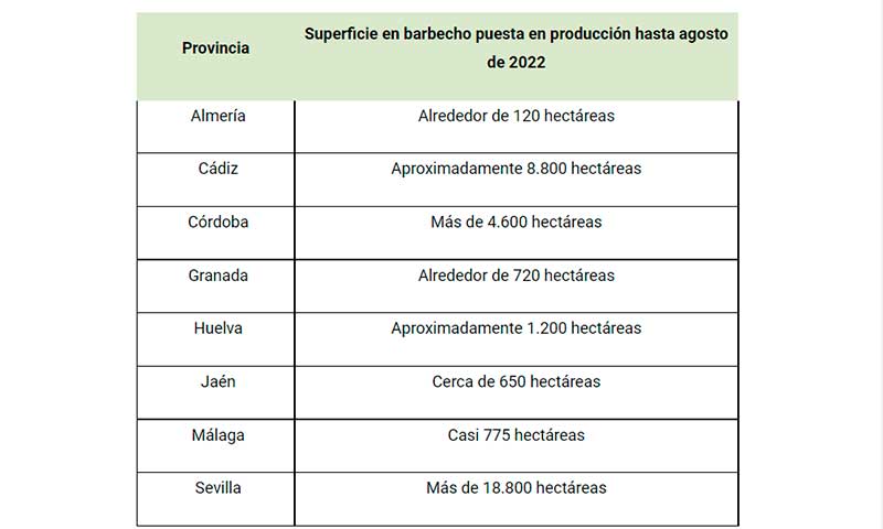 Andalucía pone en producción 35.700 hectáreas de tierras en barbecho