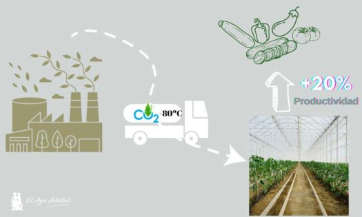 El CO2 como problema y el invernadero como solución -agroautentico.com