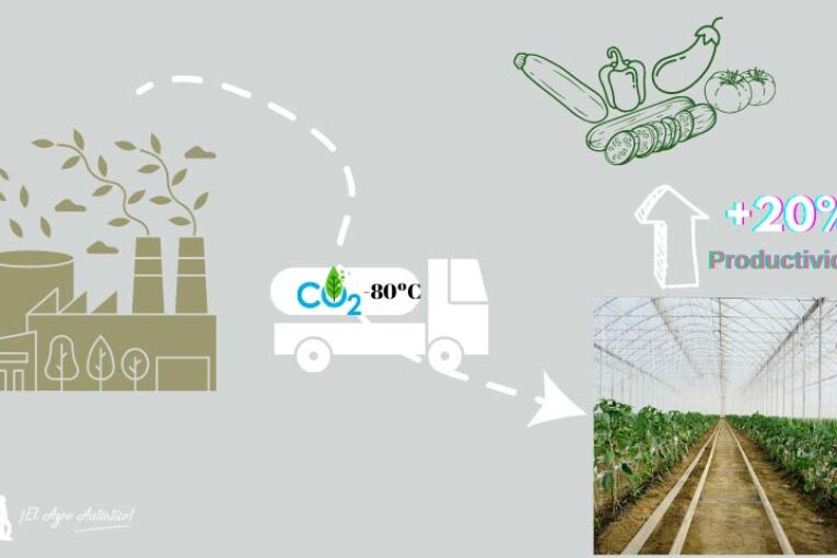 El CO2 como problema y el invernadero como solución