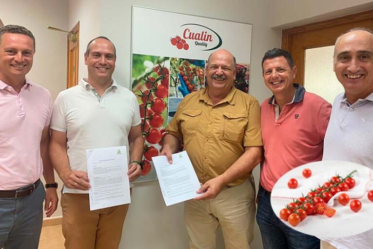 Cualin Quality y Rijk Zwaan se unen con el cherry Reddery