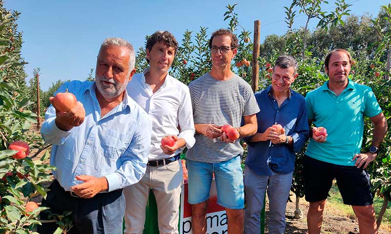 El periodista y escritor Rafel Nadal, a la izquierda, invitado en el inicio de la cosecha de la primera manzana de Girona 2022 / agroautentico.com