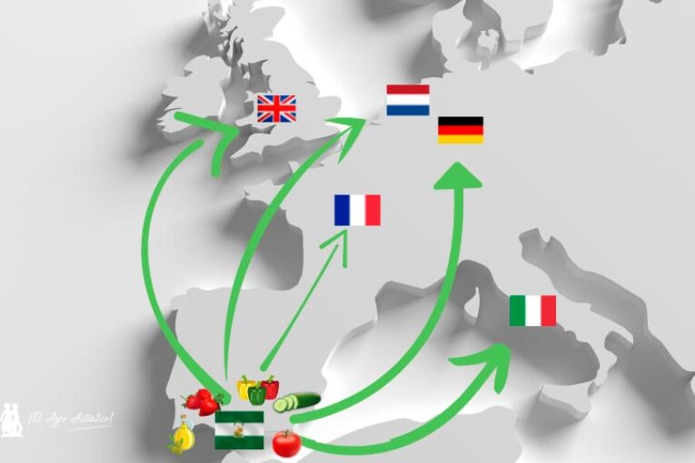 Destino de las exportaciones: Alemania, Francia, Italia, Reino Unido y Países Bajos