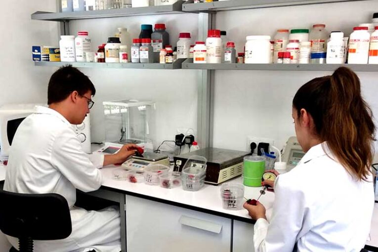 El Ifapa investiga los compuestos bioactivos de frutas y hortalizas