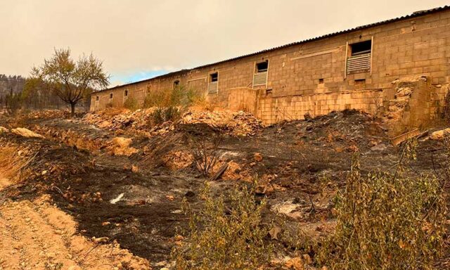 Despoblamiento, abandono del campo e incendios en la Comunidad