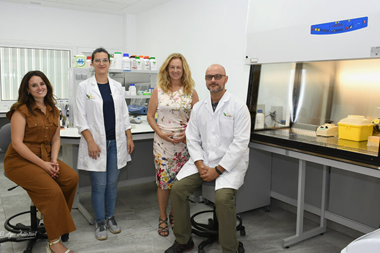 Vellsam caracteriza un nuevo mundo de hongos y bacterias