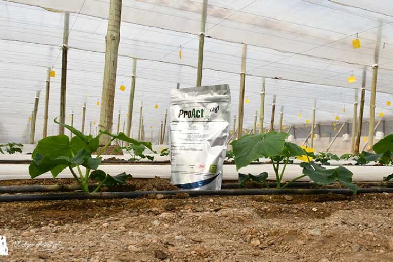Las ventas de Plant Health Care crecen un 60% en lo que va de año