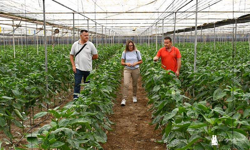 Manolo Uroz, Fertiberia TECH; Yolanda Román, Campo Río; y Juan, el 'chumbo', agricultor abderitano / agroautentico.com