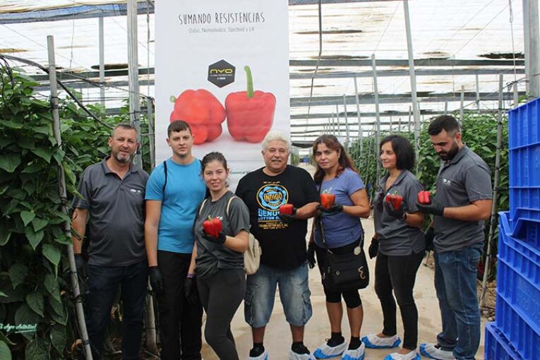 Vilmorin abre el telón de las jornadas de pimiento 2022/23