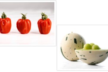 El tomate Wabi-Sabi y el melón Little Planet en Fruit Attraction