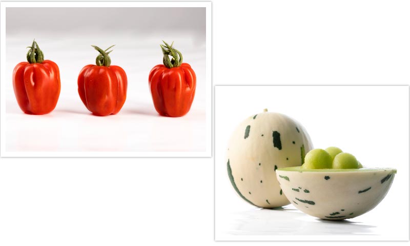 Melon little planet y tomate wabi sabi de Semillas Fitó