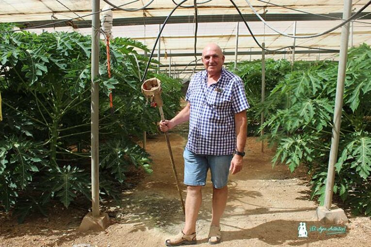 Del pimiento a la papaya: exóticos bajo el mar de plástico