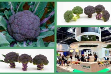 Sakata pintará con color, sabor e innovación Fruit Attraction 2022
