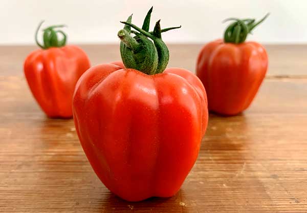 tomate Wabi-Sabi,