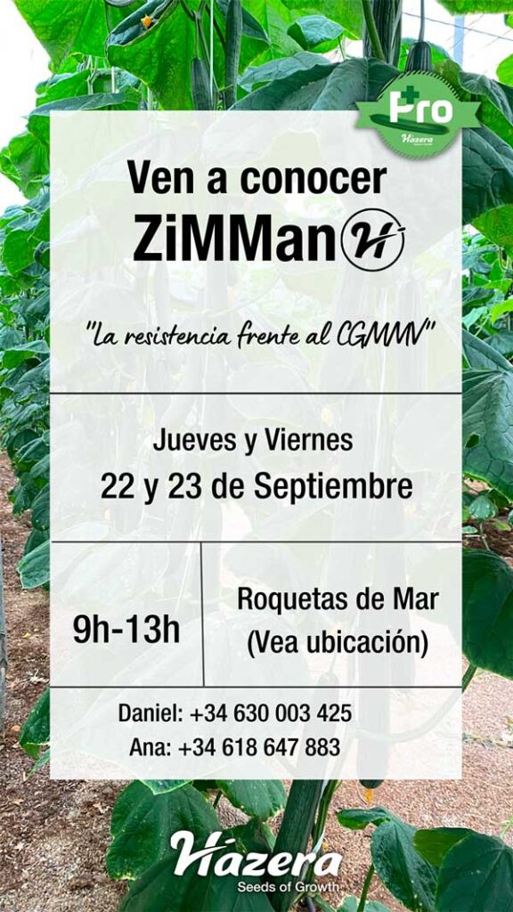 Pepino ZiMMan