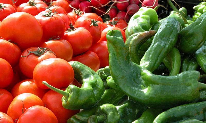 El tomate cuesta en el súper un 500% más que lo que cobra el agricultor