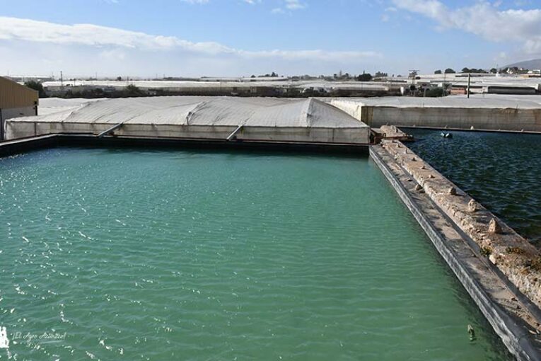 El agua a debate: desalación, depuración y concesiones