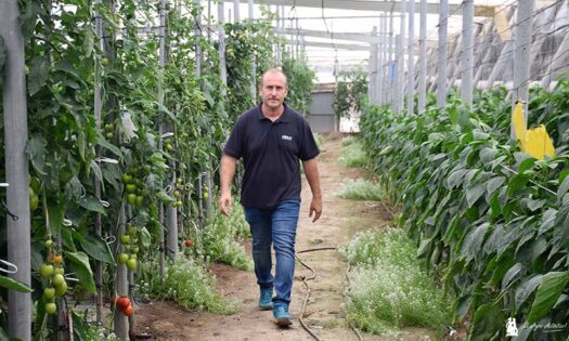 El técnico agroecológico de Biosur, Fran Arcos, en su finca de ecológico en Balerma / agroautentico.com