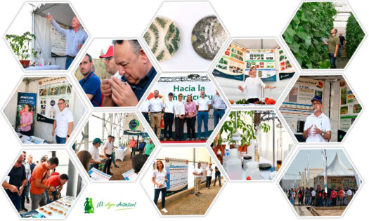 Hacia la horticultura del futuro Certis Belchim / agroautentico.com