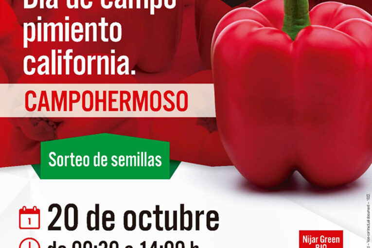 Día 20 de octubre. Día de campo de pimiento de Vilmorin