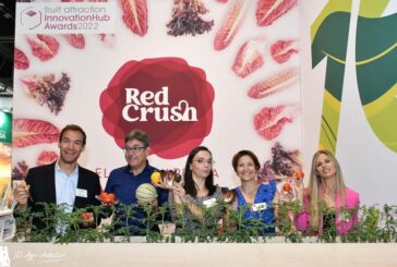 Gautier celebra 70 años presentando la gama de lechuga Red Crush