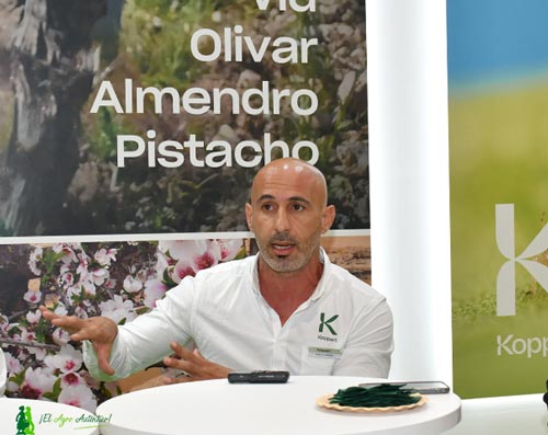 Rudy Llarena, director comercial de Koppert en Canarias