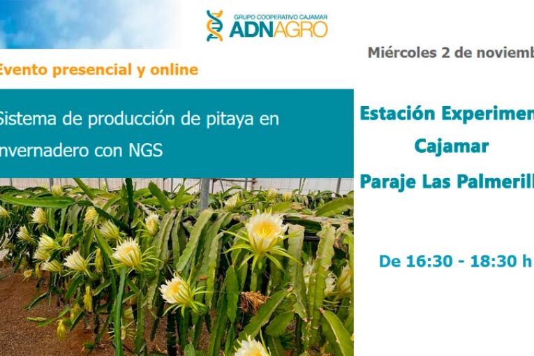Día 2 de noviembre. Sistema de producción de pitaya en invernadero con NGS